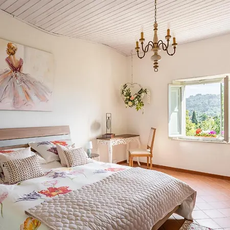 Australis * Barga